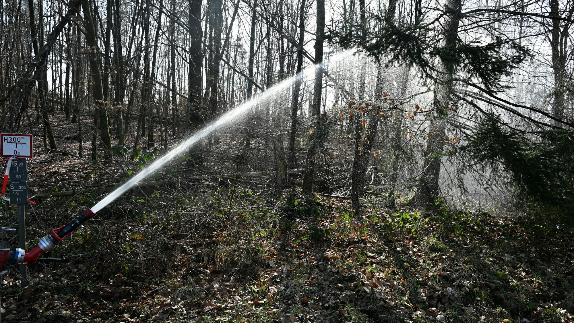 Aus dem Brand im Königsforst ziehen Feuerwehr und Forstamt verschiedene Lehren.