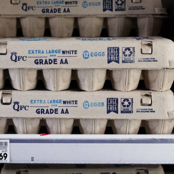 Eier werden in einem QFC in Seattle zum Verkauf angeboten. In den USA sind die Eier knapp. Grund ist der jüngste Ausbruch der Vogelgrippe. Der Eiermangel führt zu höheren Preisen.