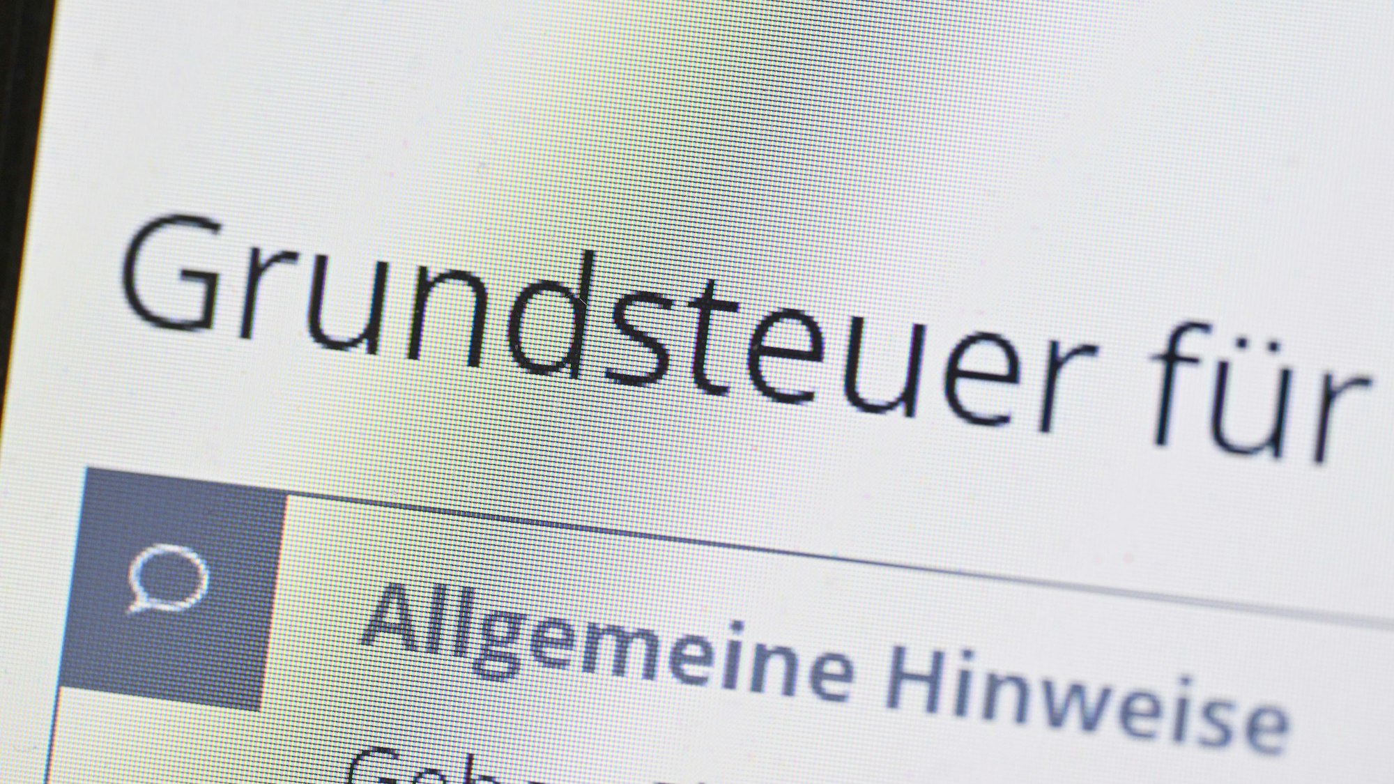 Das Wort Grundsteuer erscheint auf einem Computerbildschirm auf der Seite des Online-Steuerportals Elster.