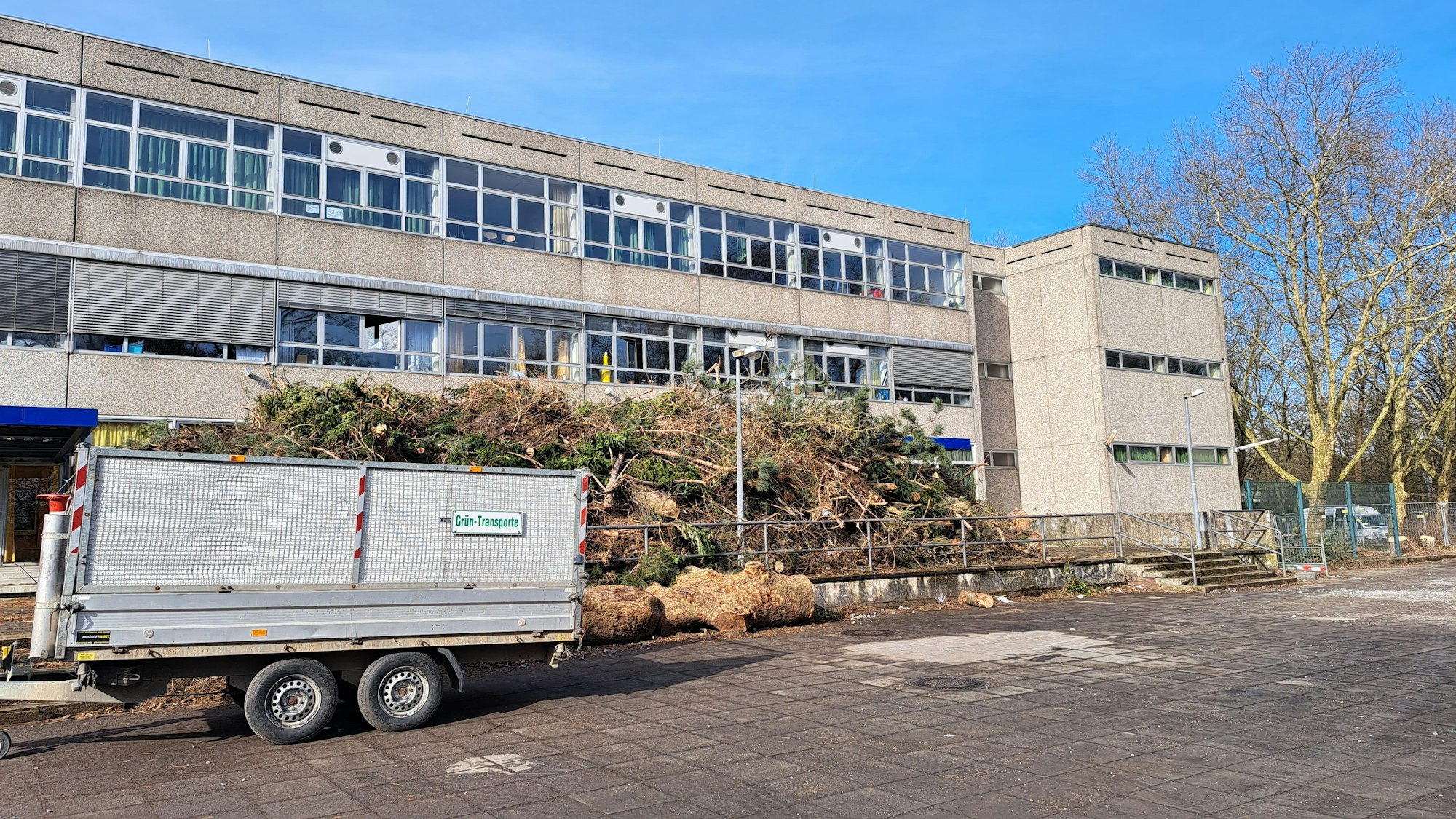 Bäume und Sträucher weichen für Bauarbeiten für eine Schule in Köln-Deutz.