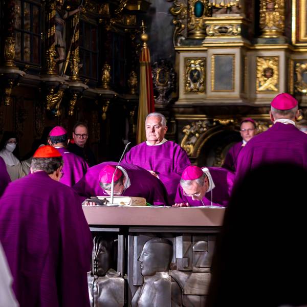 Viele Bischöfe in lila Gewändern stehen um einen Altar.