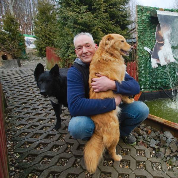In der Hundepension von Thomas Kirschnick sind täglich etwa sieben Hunde zu Gast, und rund 30 weitere Vierbeiner warten in der Reichshofer Ortschaft Sterzenbach darauf, nun in liebevolle Hände vermittelt zu werden.
