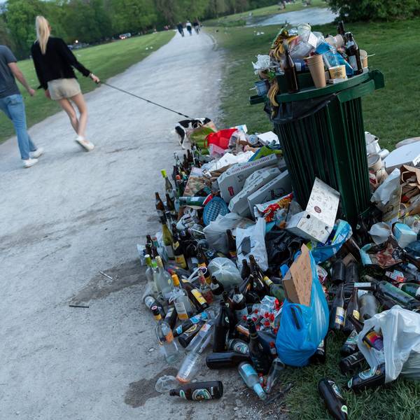 Ein zugemüllter Abfallbehälter in einem Park.