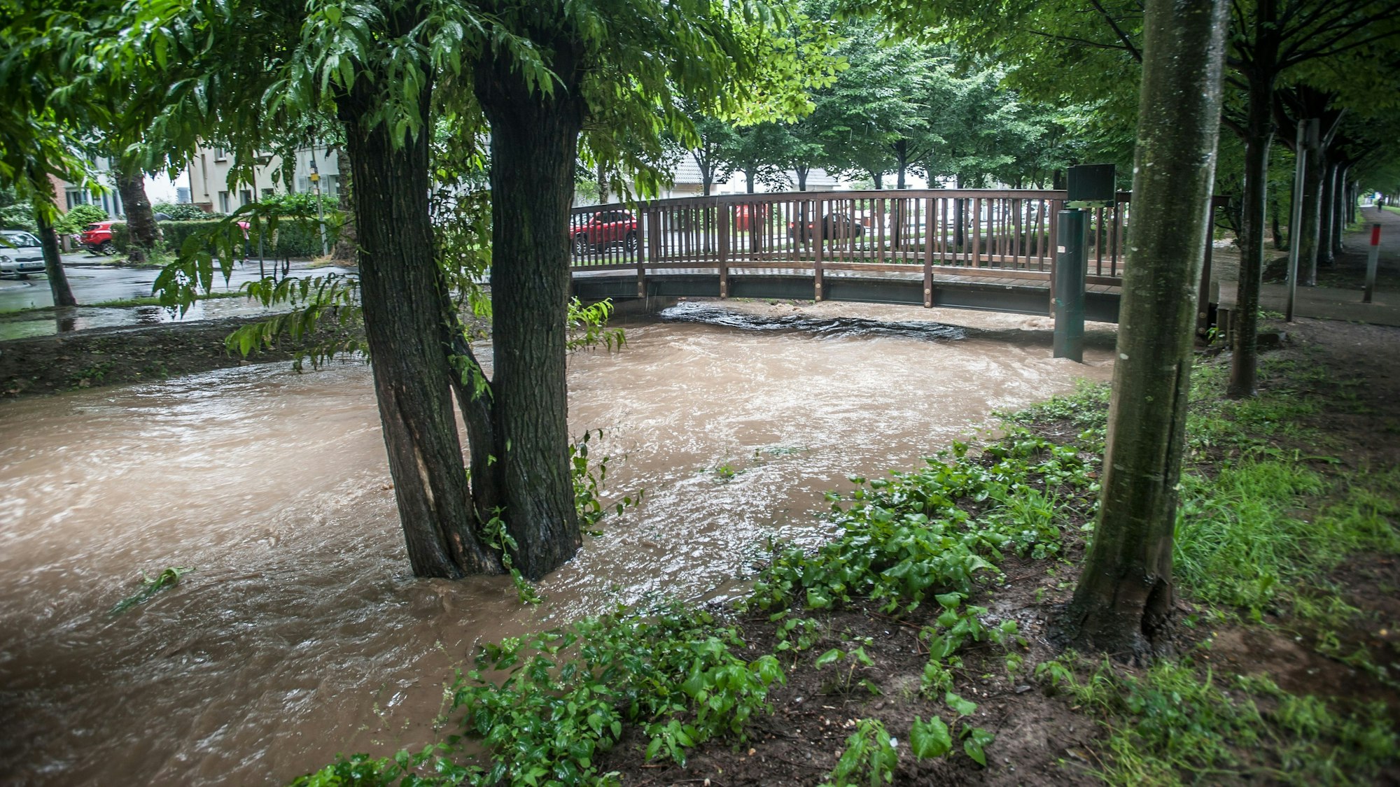 Wiembach am Nachmittag, 14.7.21