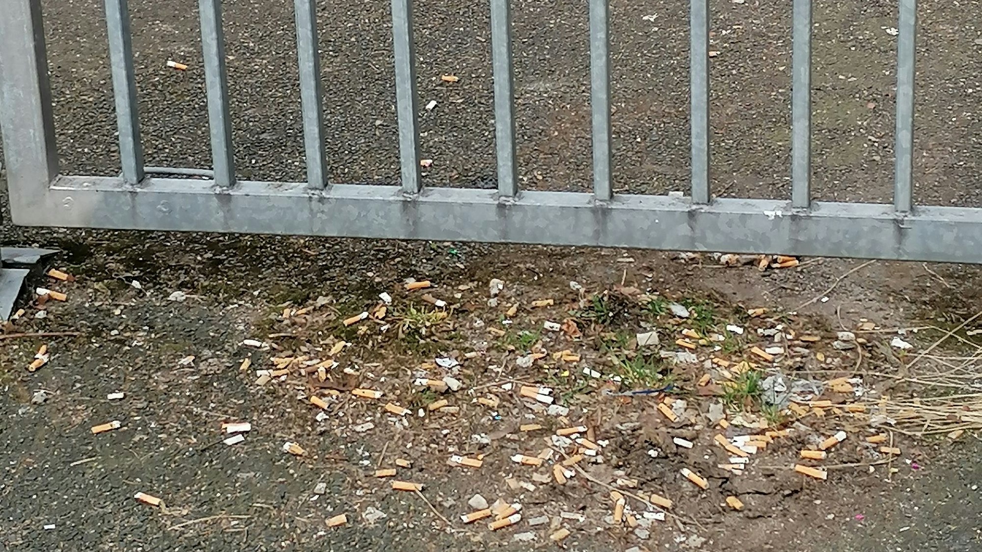 Zigarettenkippen liegen vor einem Metalltor auf dem Asphalt.