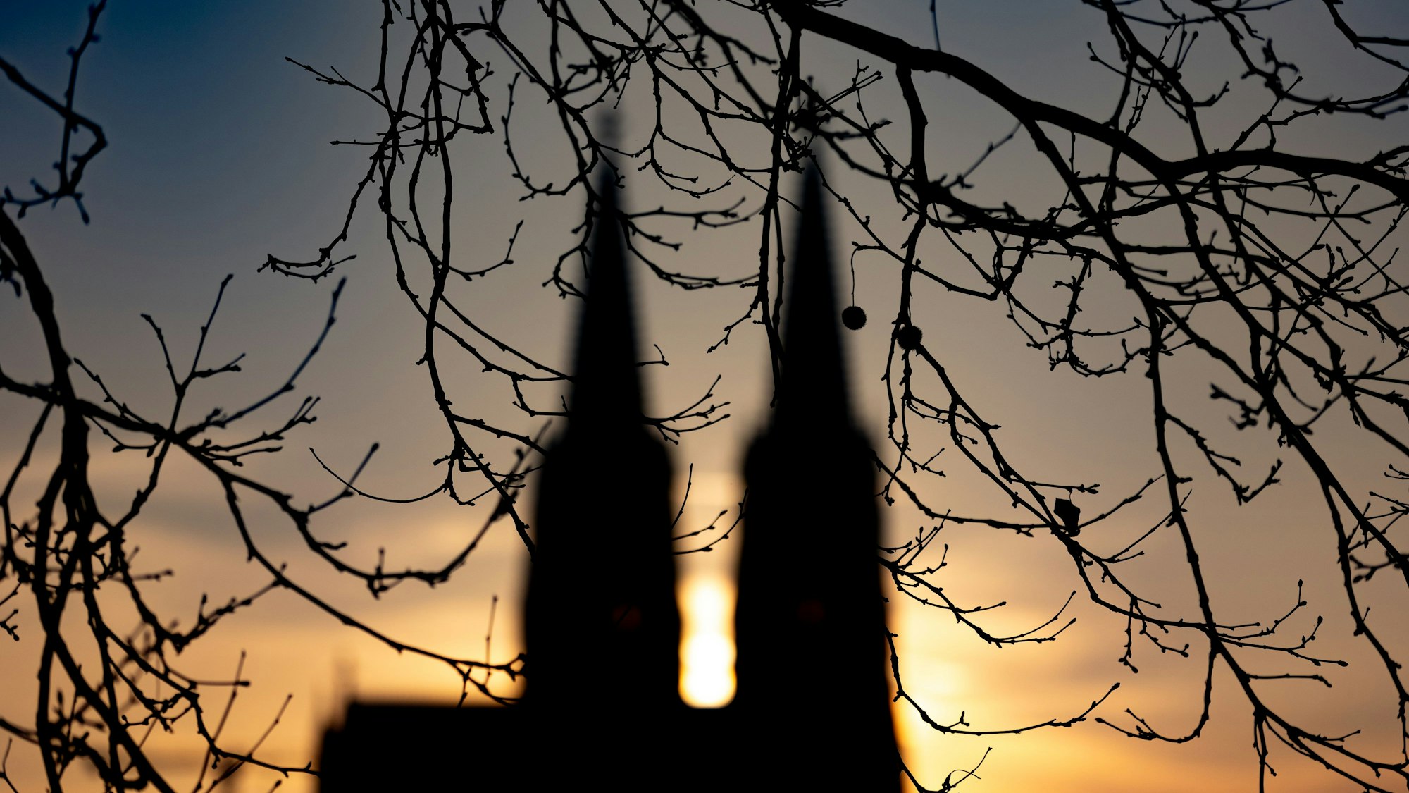 Auch im Kölner Dom wird ein musikalisches Programm angeboten.