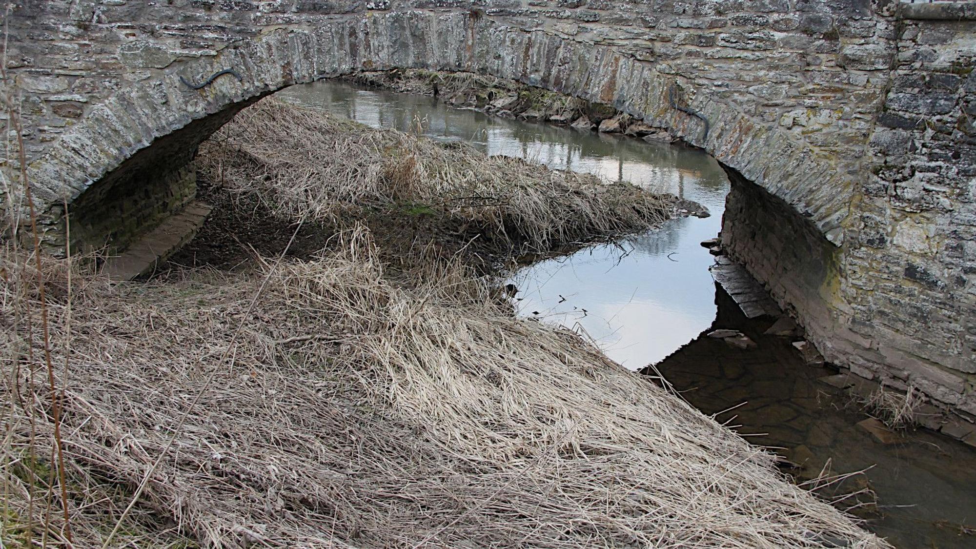 Unter der historischen Nepomuk-Brücke bei Dahlem-Kronenburg sind Stickungen zu erkennen.