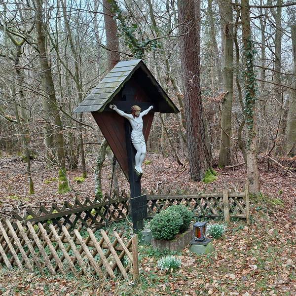Ein Gedenkkreuz steht im Dollendorfer Busch im Blankenheimer Gemeindewald. Die Bäume haben keine Blätter.