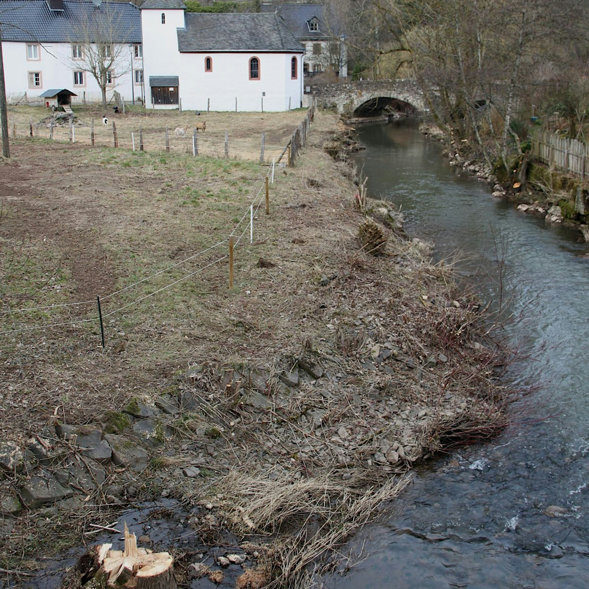 Am Ufer der Kyll sind einige Baumstümpfe zu sehen, im Hintergrund die alten Nepomukbrücke und die Brigidakapelle bei Dahlem-Kronenburg.