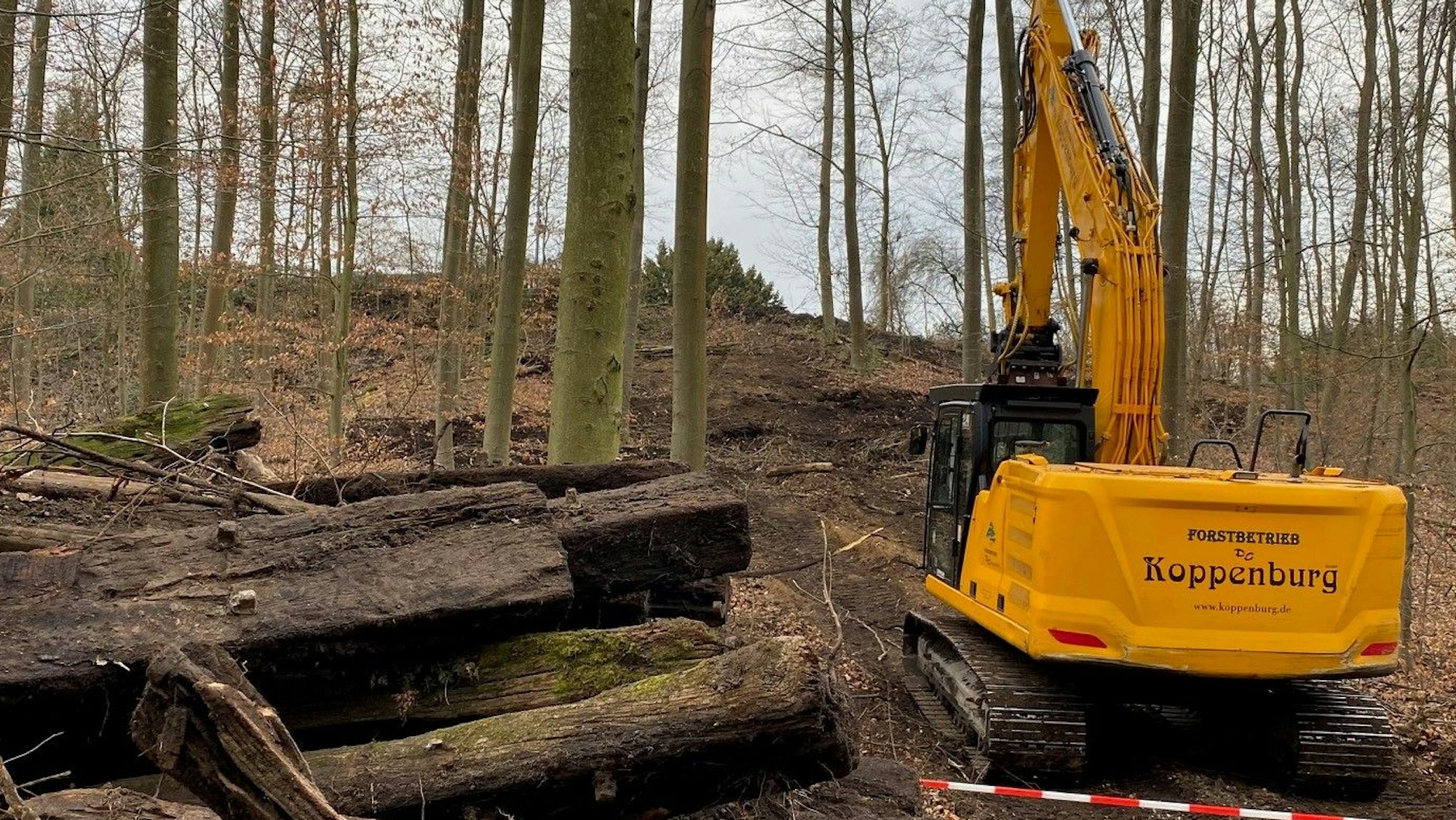 Zu sehen ist ein Bagger an einem Hang im Wald.