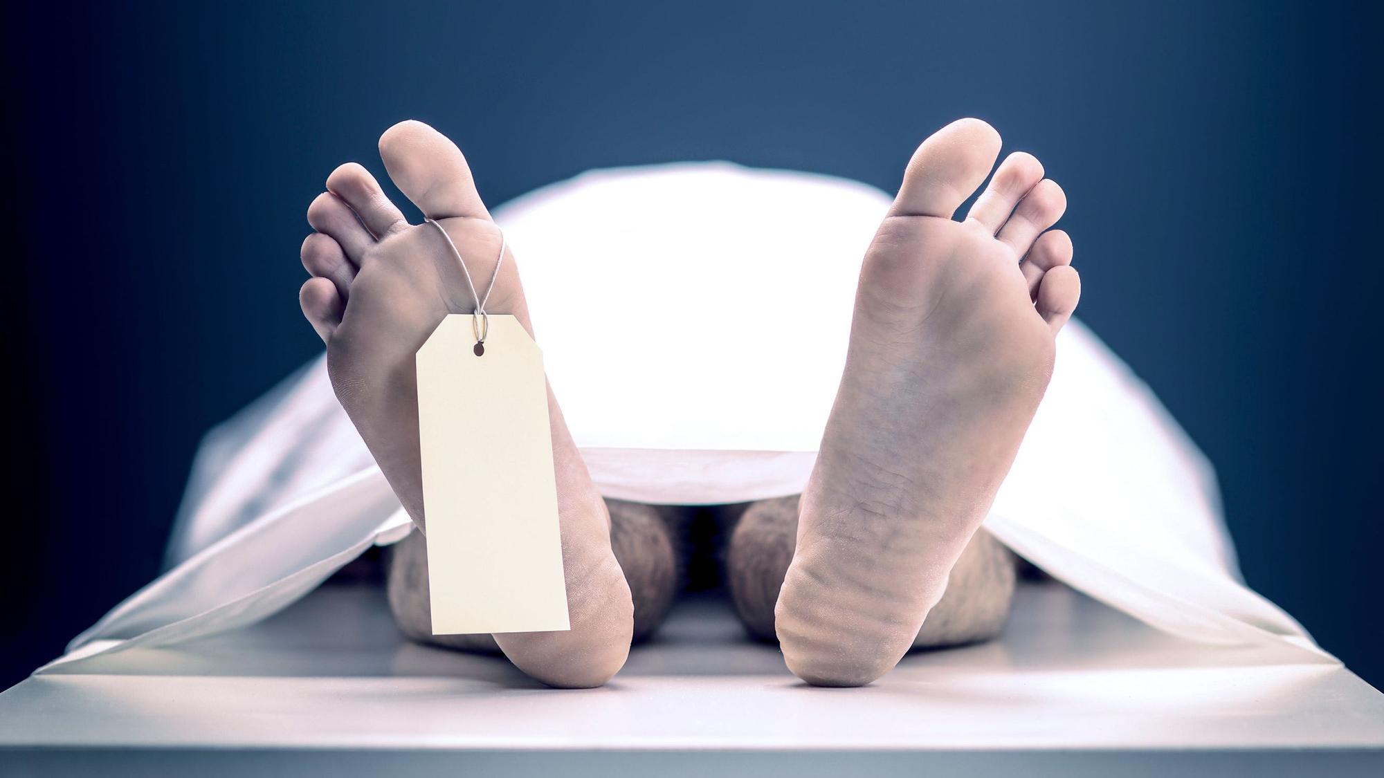Auf dem Seziertisch in der Anatomie landet, wer seinen Körper zu Lebzeiten der Wissenschaft vermacht hat. (Symbolbild)
