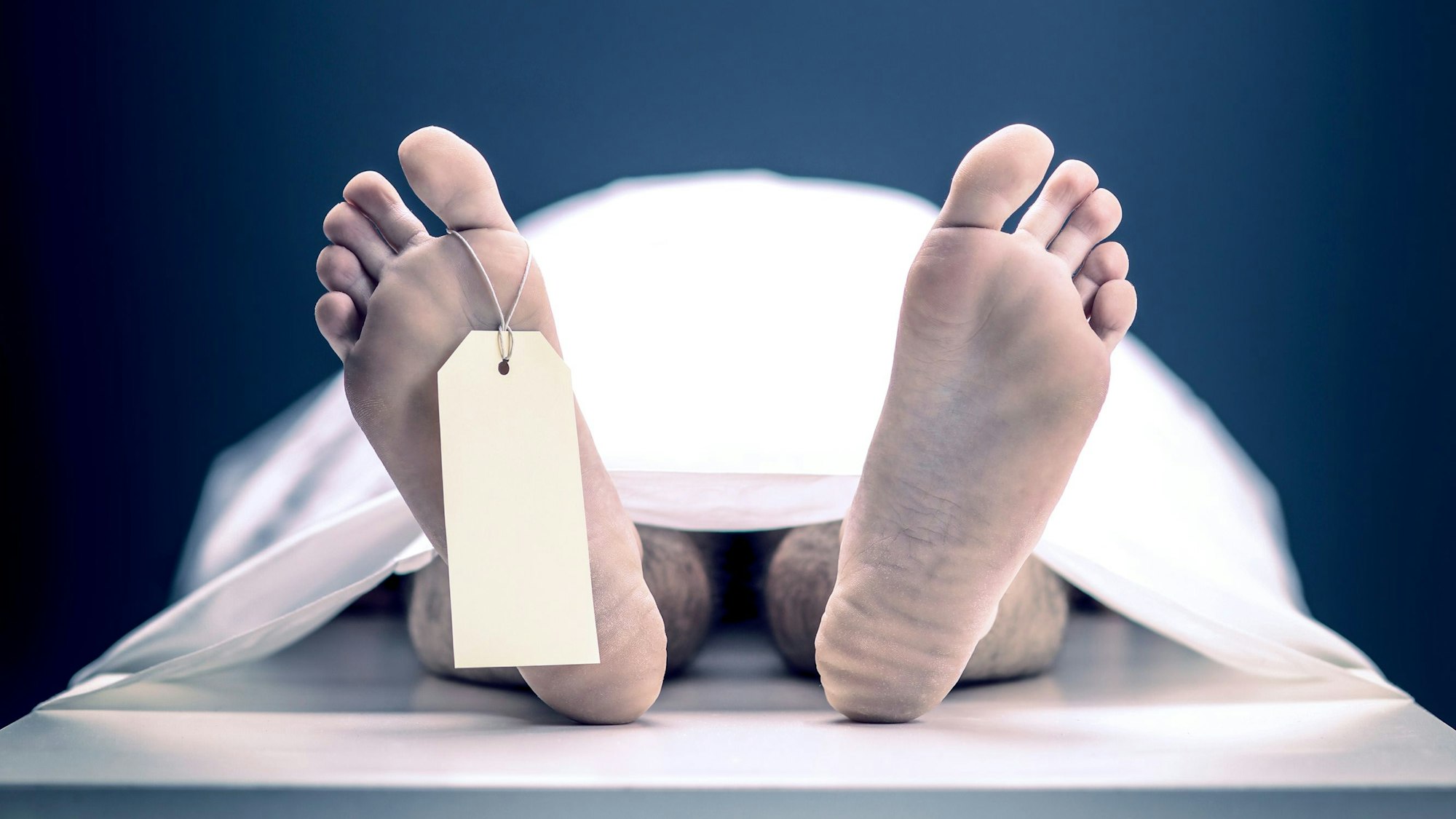 Auf dem Seziertisch in der Anatomie landet, wer seinen Körper zu Lebzeiten der Wissenschaft vermacht hat. (Symbolbild)