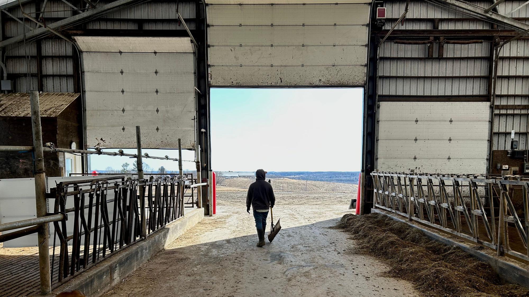 Ein Mitarbeiter von Milchfarmer Hans Breitenmoser verlässt den Stall. Trumps Abschiebepolitik trifft landwirtschaftliche Betriebe besonders, denn viele Farmen beschäftigen Einwanderer.
