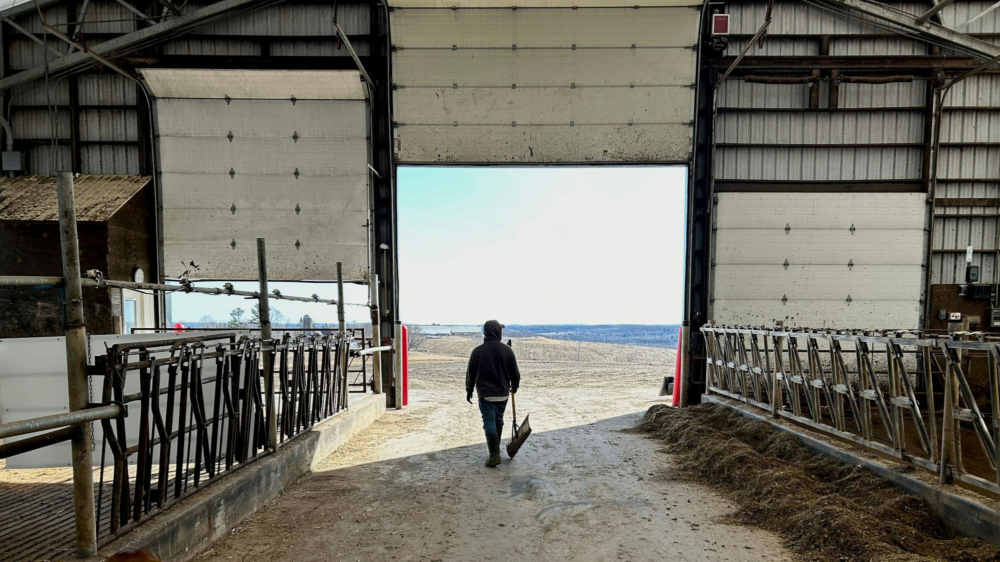 Ein Mitarbeiter von Milchfarmer Hans Breitenmoser verlässt den Stall. Trumps Abschiebepolitik trifft landwirtschaftliche Betriebe besonders, denn viele Farmen beschäftigen Einwanderer.