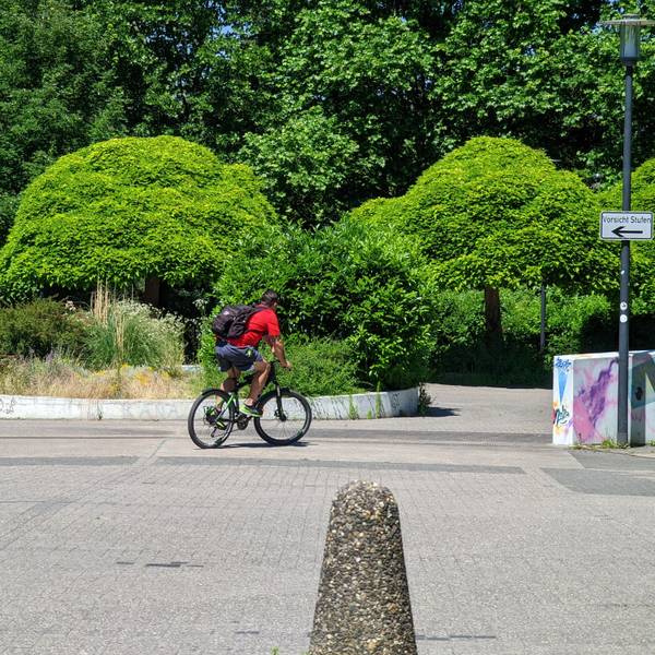 Auf dem Foto ist eine Grünanlage zu sehen.