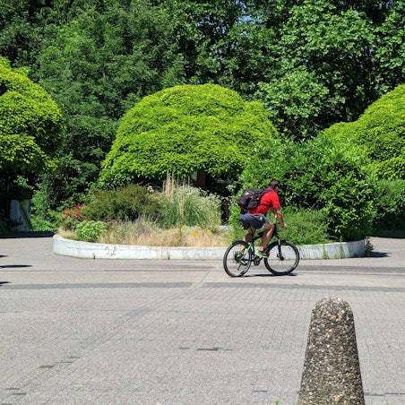 Auf dem Foto ist eine Grünanlage zu sehen.