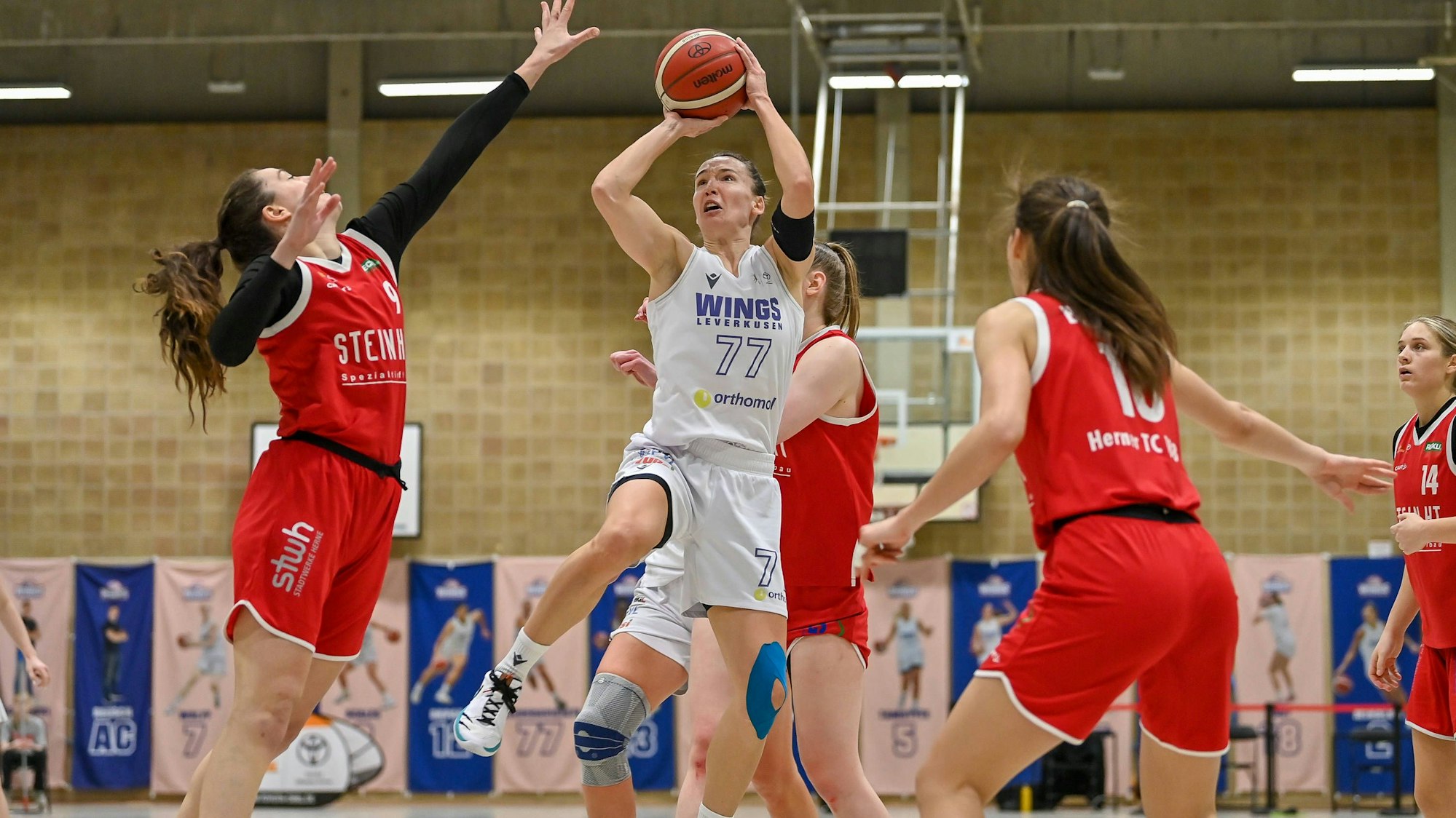 1. Damen Herner TC Herner TC Herner TC Basketball Bundesliga: Orthomol WINGS Leverkusen vs. Herner TC, 19.01.2025 Mante Kvederaviciute Orthomol WINGS Leverkusen 77, 1. Damen Herner TC Herner TC Herner TC Basketball Bundesliga: Orthomol WINGS Leverkusen vs. Herner TC am 19.01.2025 in der Sporthalle Werner-Heisenberg-Gymnasium in Opladen Nordrhein-Westfalen *** 1 Ladies Herner TC Herner TC Herner TC Basketball Bundesliga Orthomol WINGS Leverkusen vs Herner TC, 19 01 2025 Mante Kvederaviciute Orthomol WINGS Leverkusen 77 , 1 Ladies Herner TC Herner TC Herner TC Basketball Bundesliga Orthomol WINGS Leverkusen vs Herner TC on 19 01 2025 at the Sporthalle Werner Heisenberg Gymnasium in Opladen Nordrhein Westfalen Copyright: xBEAUTIFULxSPORTS/Mueller-Laschetx