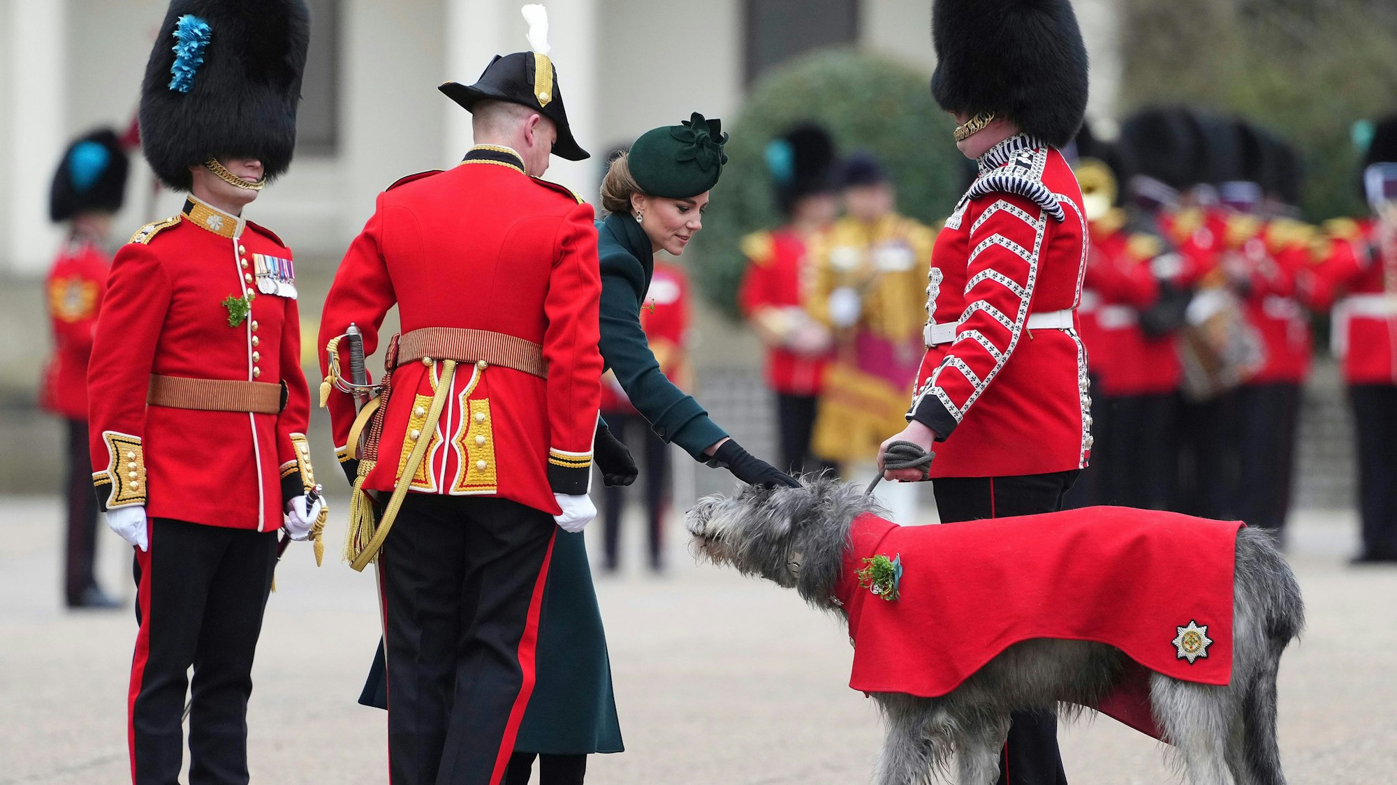 Prinzessin Kate tätschelt das Maskottchen der irischen Garde, Dorg Turlough Mor, ein irischer Wolfshund.
