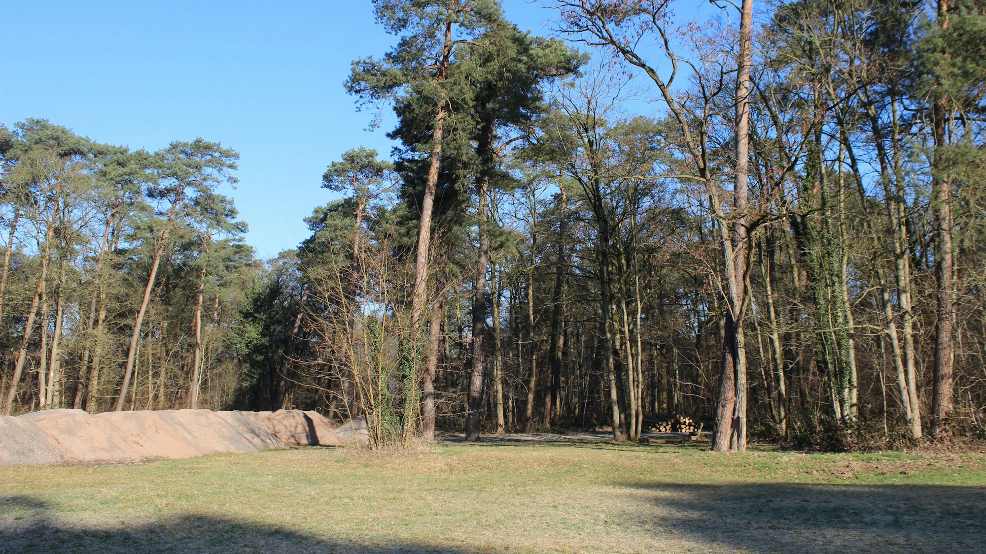 Auf der Lichtung in Rath-Heumar erinnert heute nichts mehr an die Kinder, die hier einst Erholung suchten.