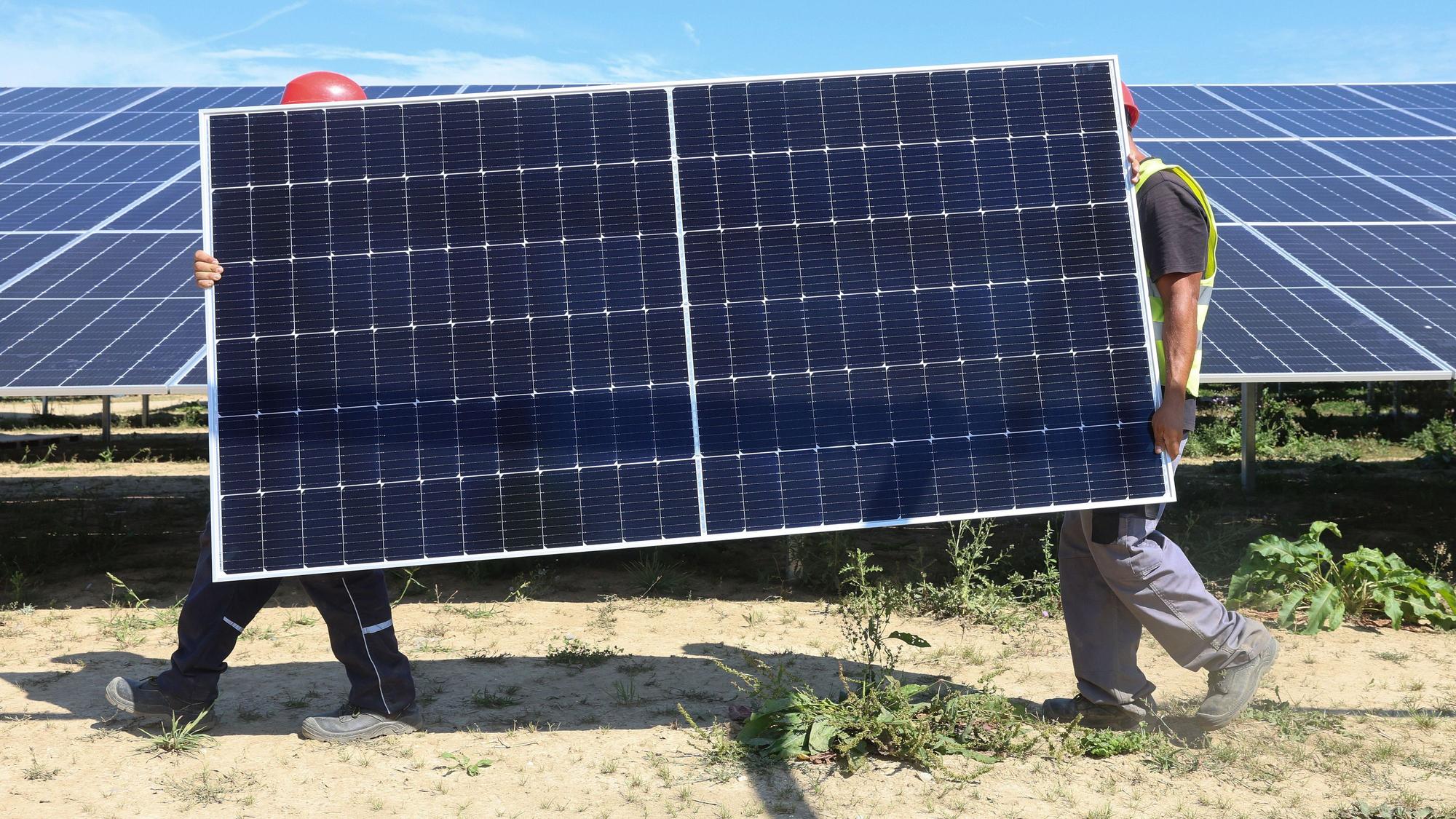 Mitarbeiter einer Montagefirma tragen ein Solarmodul durch einen Solarpark.