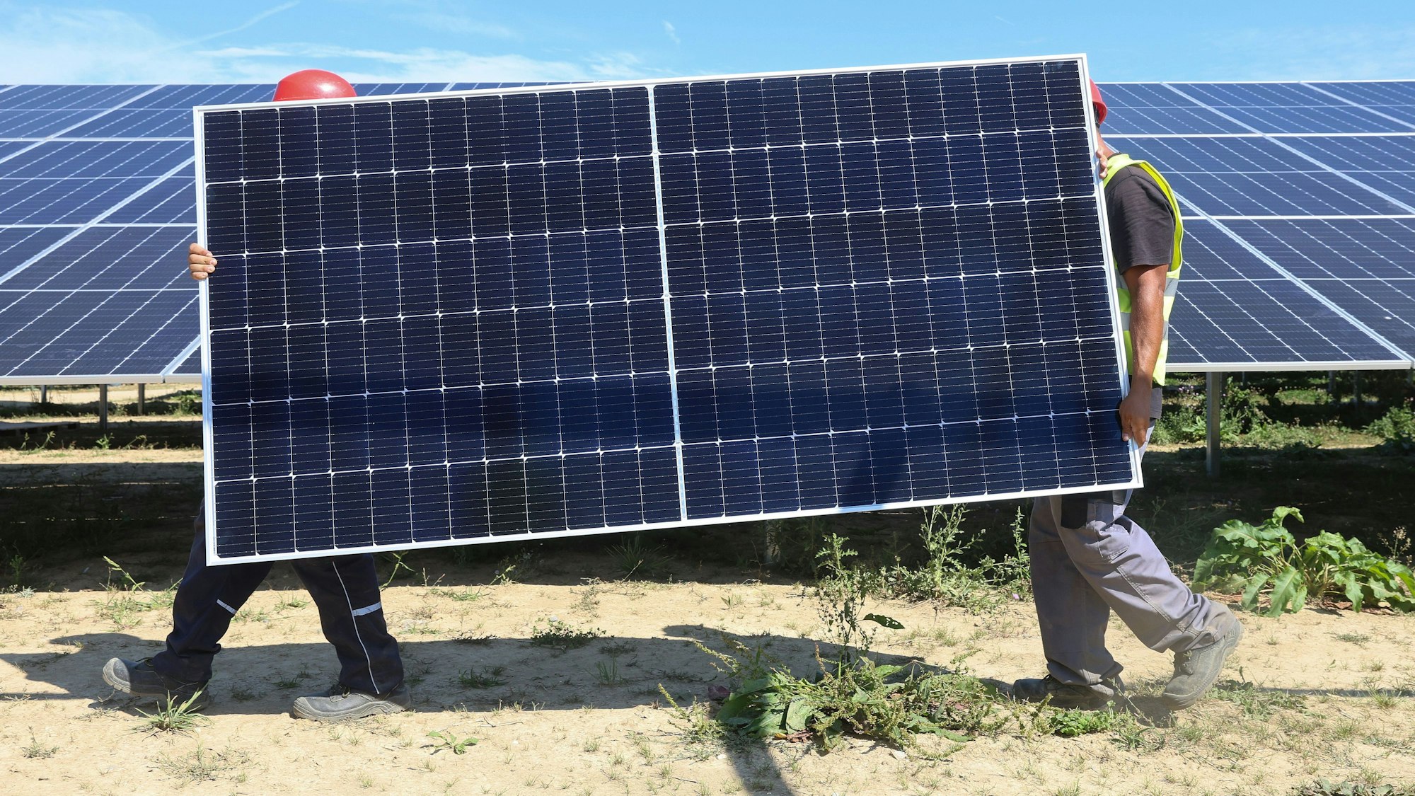 Mitarbeiter einer Montagefirma tragen ein Solarmodul durch einen Solarpark.