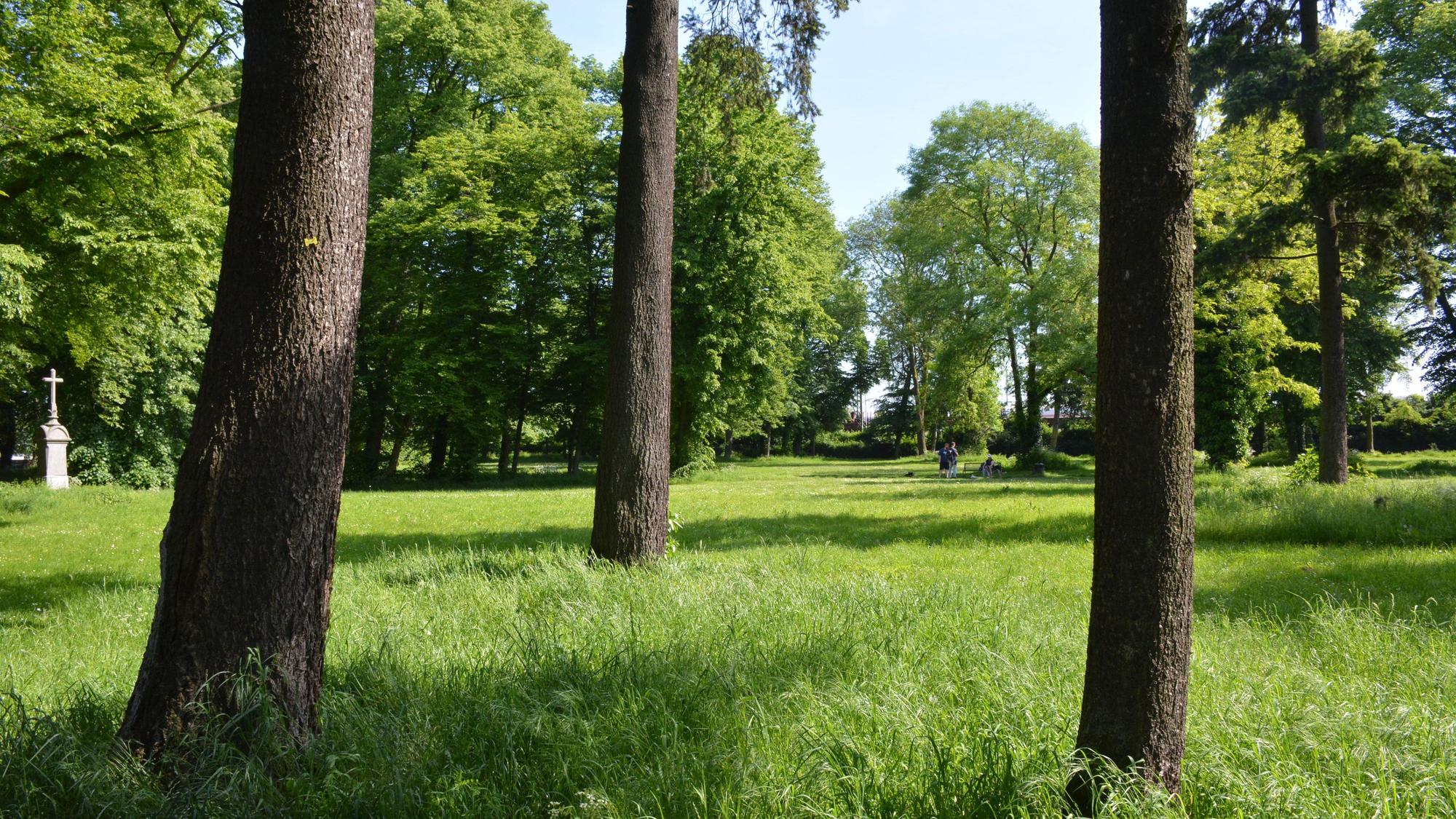 Alter Friedhof Kalk