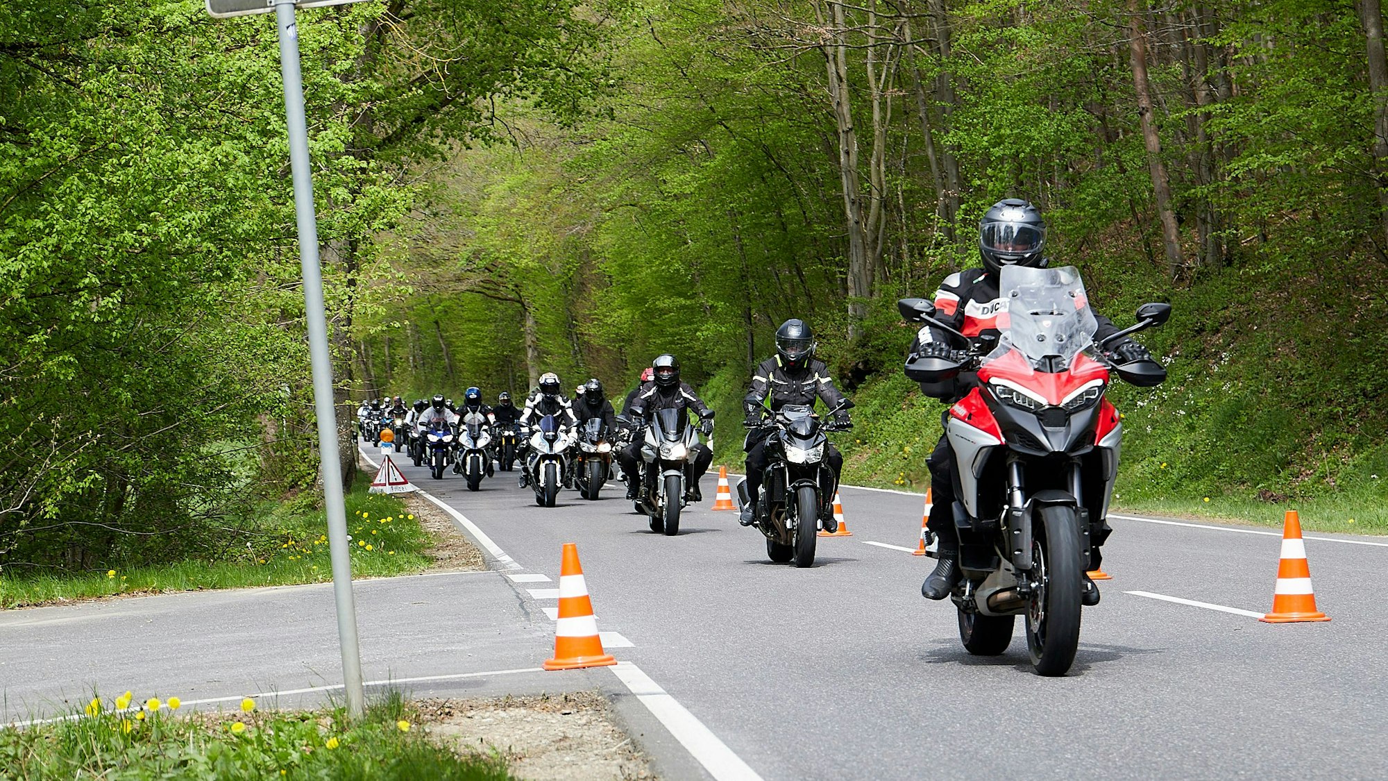 Das Bild zeigt eine große Gruppe von Motorradfahrern auf einer Straße, die durch ein Waldgebiet führt.