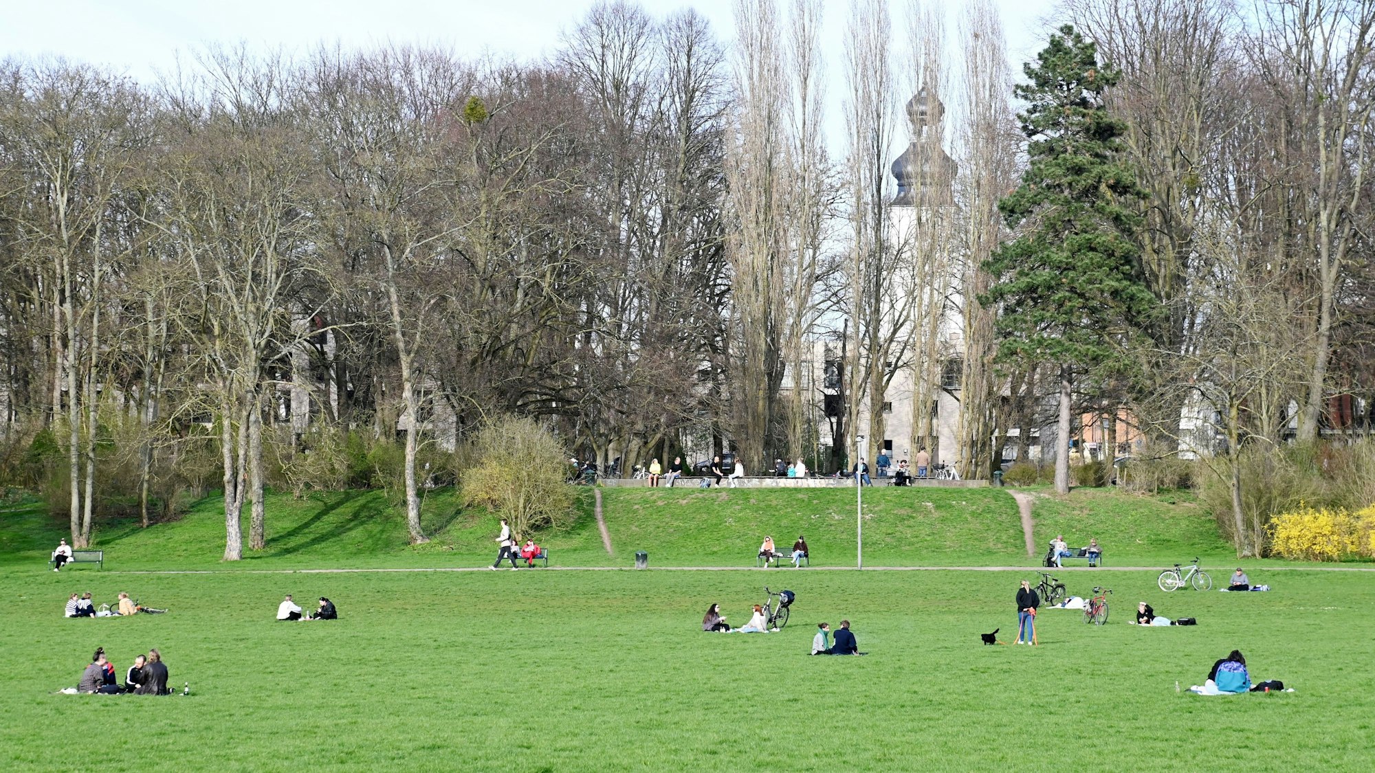 Menschen sitzen im Beethovenpark auf einer Wiese.