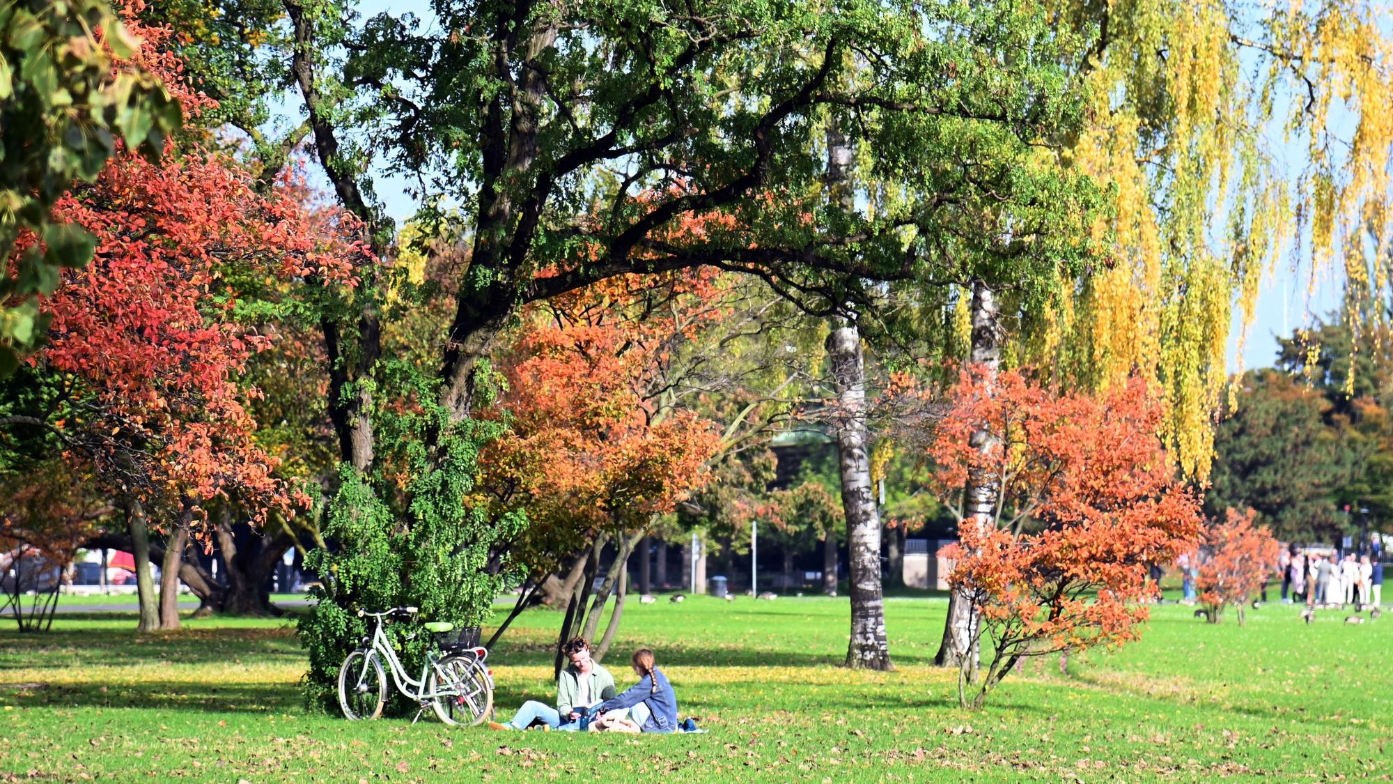 Der Kölner Rheinpark ist zu jeder Jahreszeit ein herrlicher Ort zum Entspannen.
