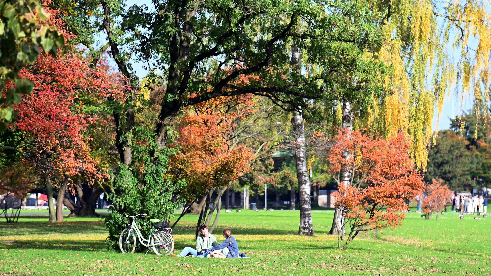 Der Kölner Rheinpark ist zu jeder Jahreszeit ein herrlicher Ort zum Entspannen.