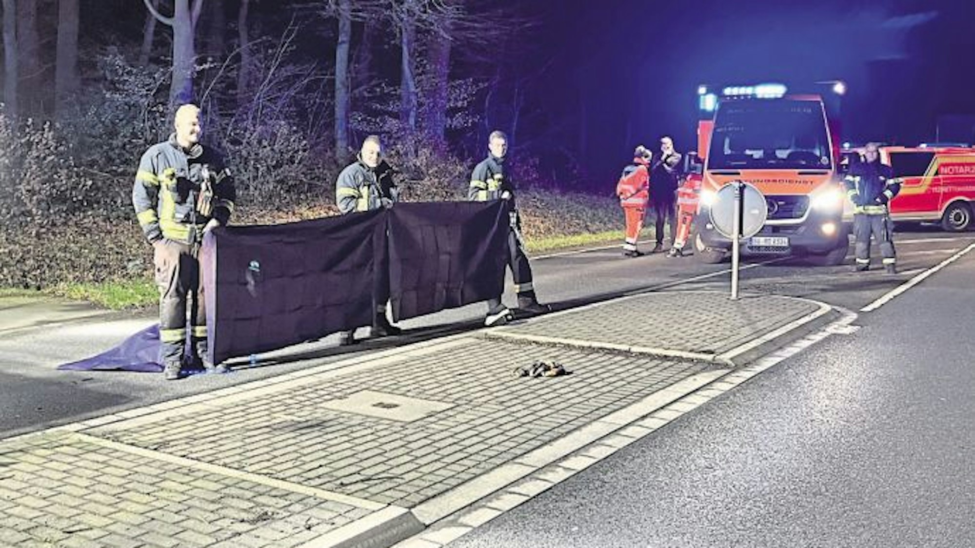 Feuerwehrleute bauten einen Sichtschutz auf (Archivbild)
