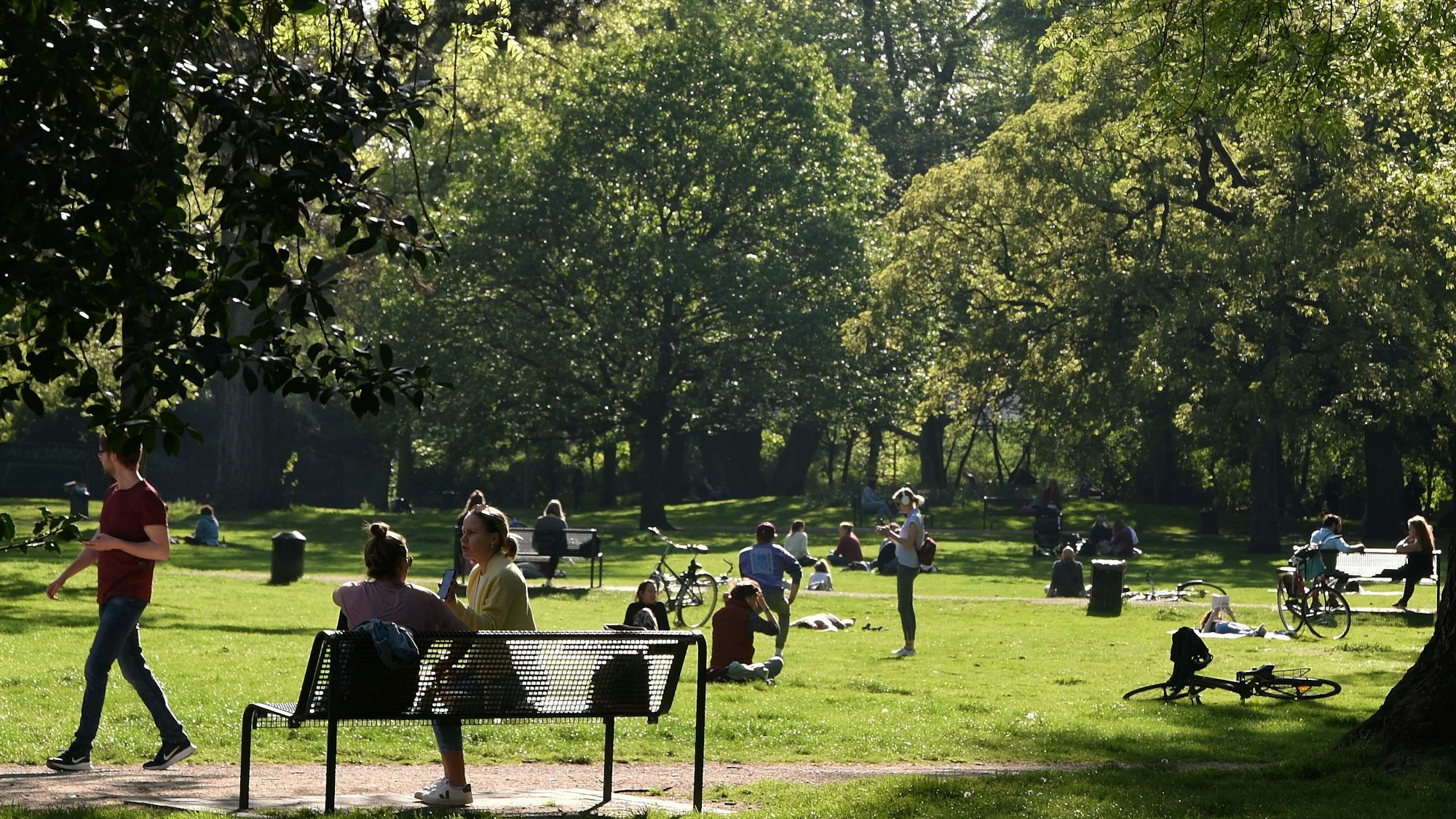 Der Kölner Stadtgarten