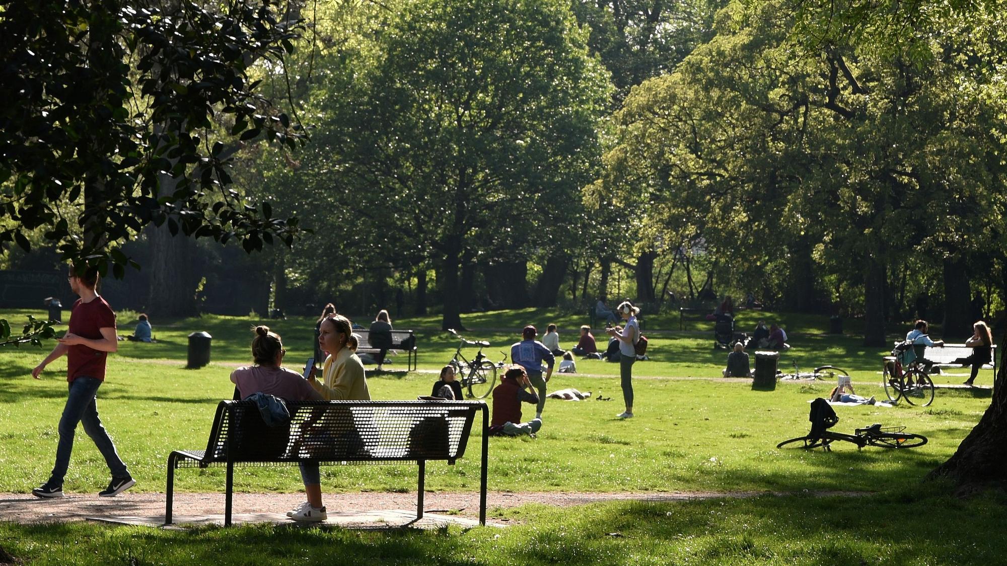 Im Stadtgarten erholen sich die Kölner im Sommer.