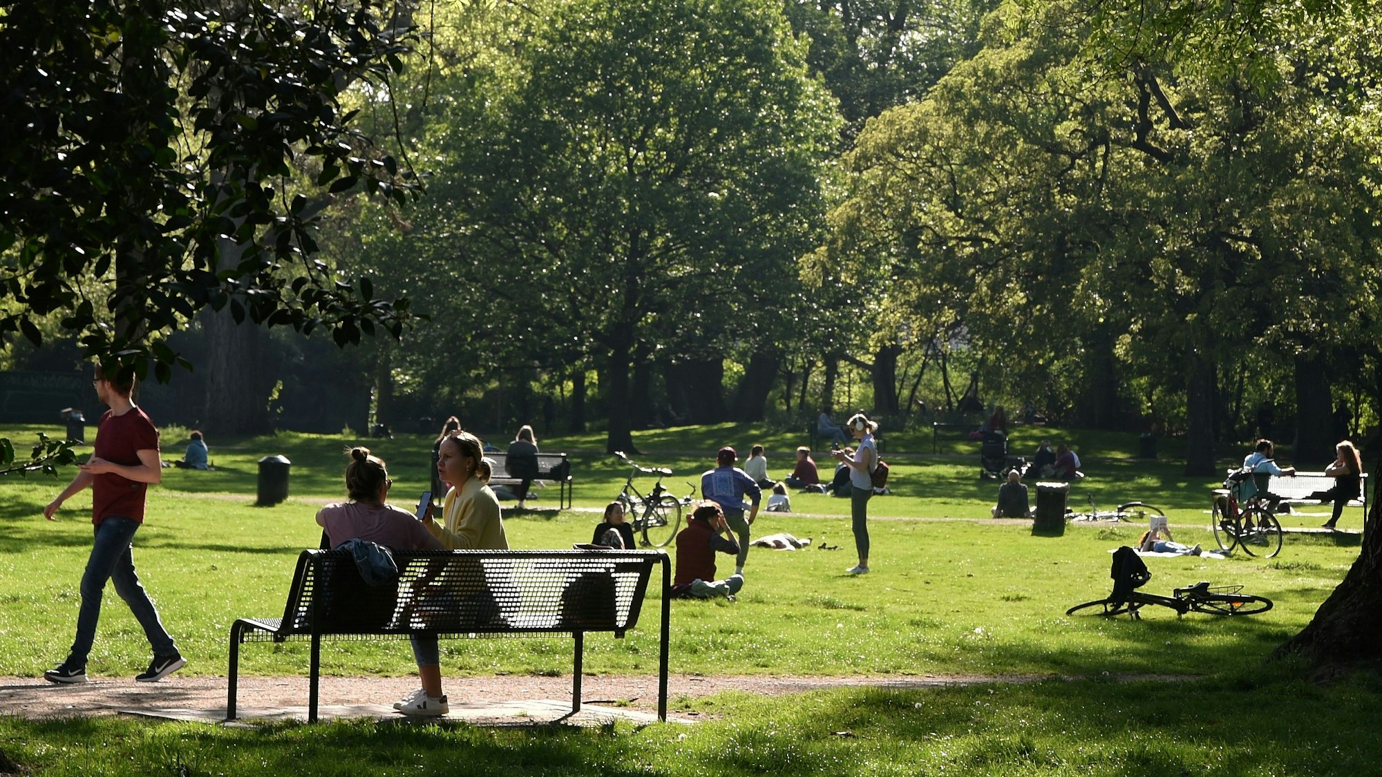 Im Stadtgarten erholen sich die Kölner im Sommer.