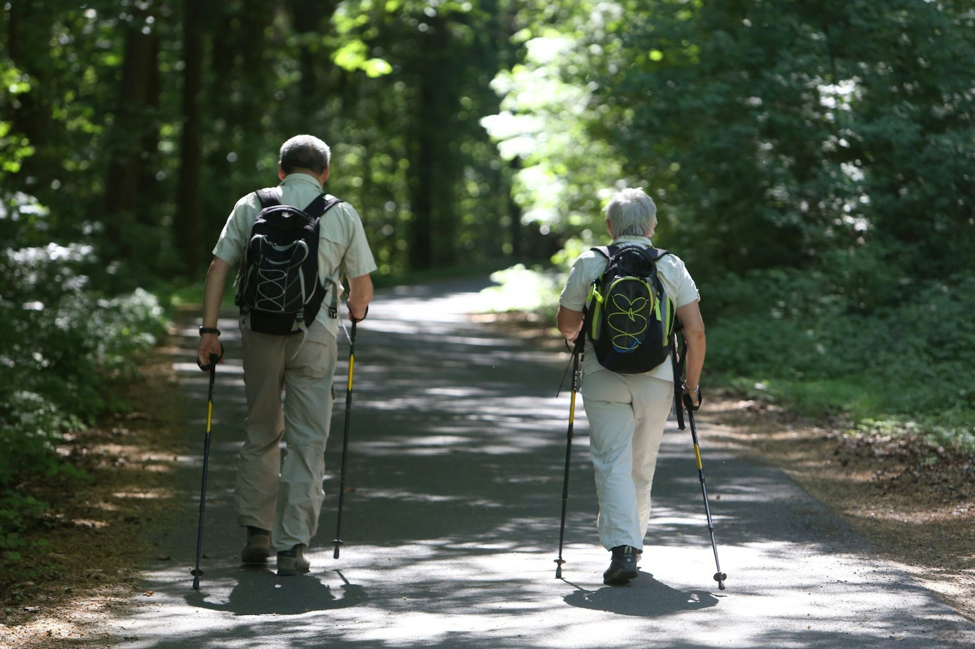 Ein Wanderer und eine Wanderin mit Rucksäcken unterwegs im Wald.