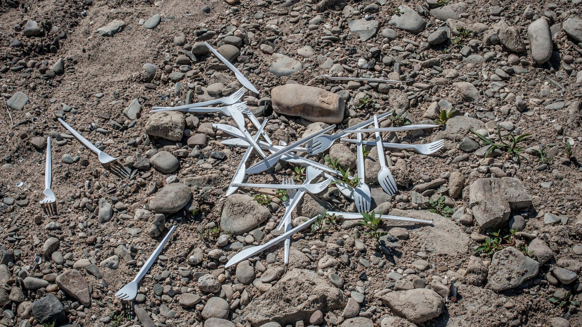 Für das Einsammeln von Einwegplastik, wie hier am Rhein an der Wuppermündung, kann die Stadt Geld aus einem Fonds bekommen.