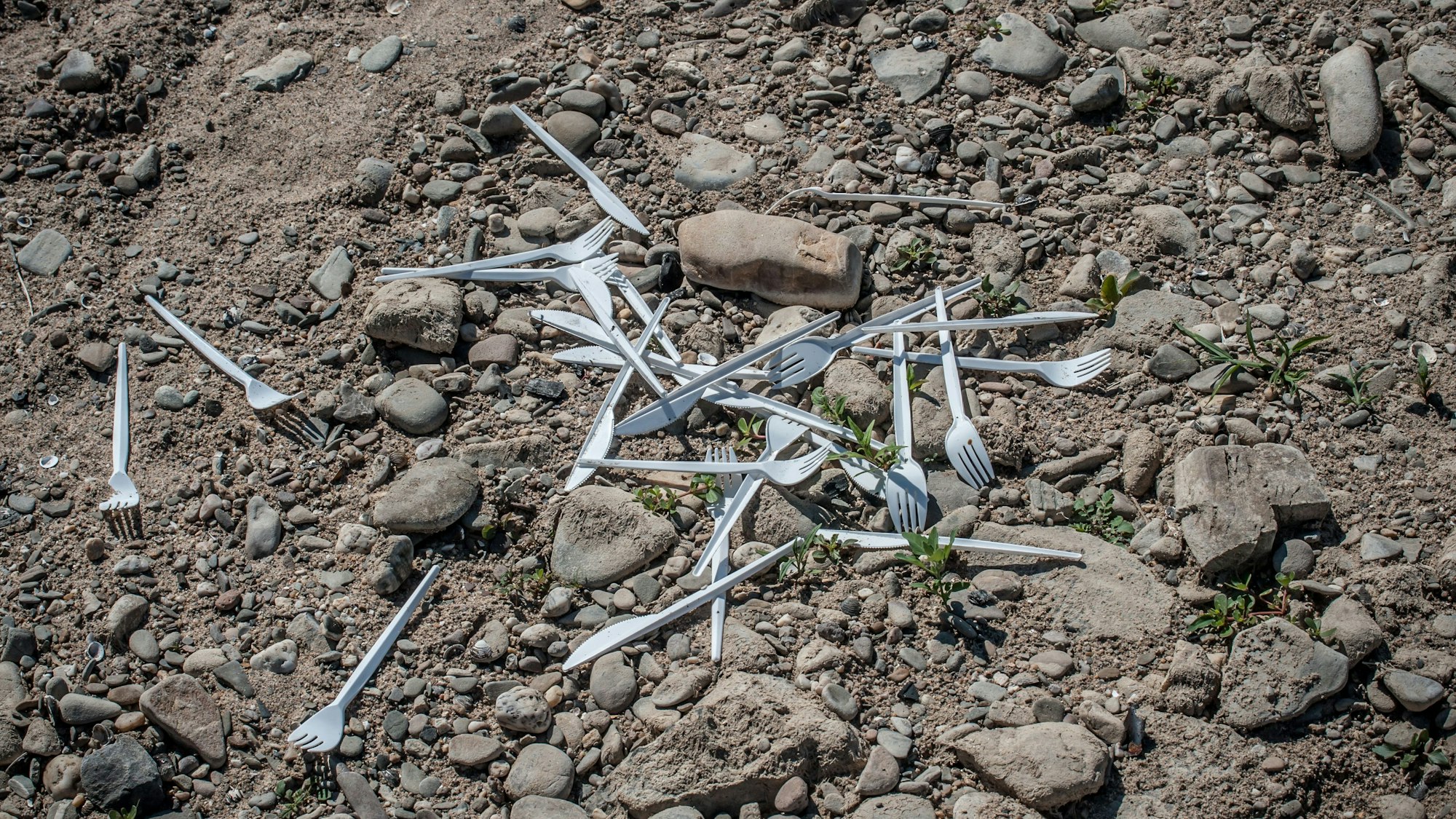 Für das Einsammeln von Einwegplastik, wie hier am Rhein an der Wuppermündung, kann die Stadt Geld aus einem Fonds bekommen.