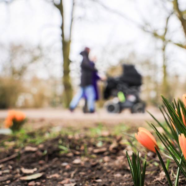 Orange Krokusse blühen am Wegrand, Spaziergänger mit Kinderwagen laufen im Hintergrund daran vorbei.