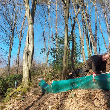 Ein Mann steht an einem Amphibienschutzzaun im Wald.