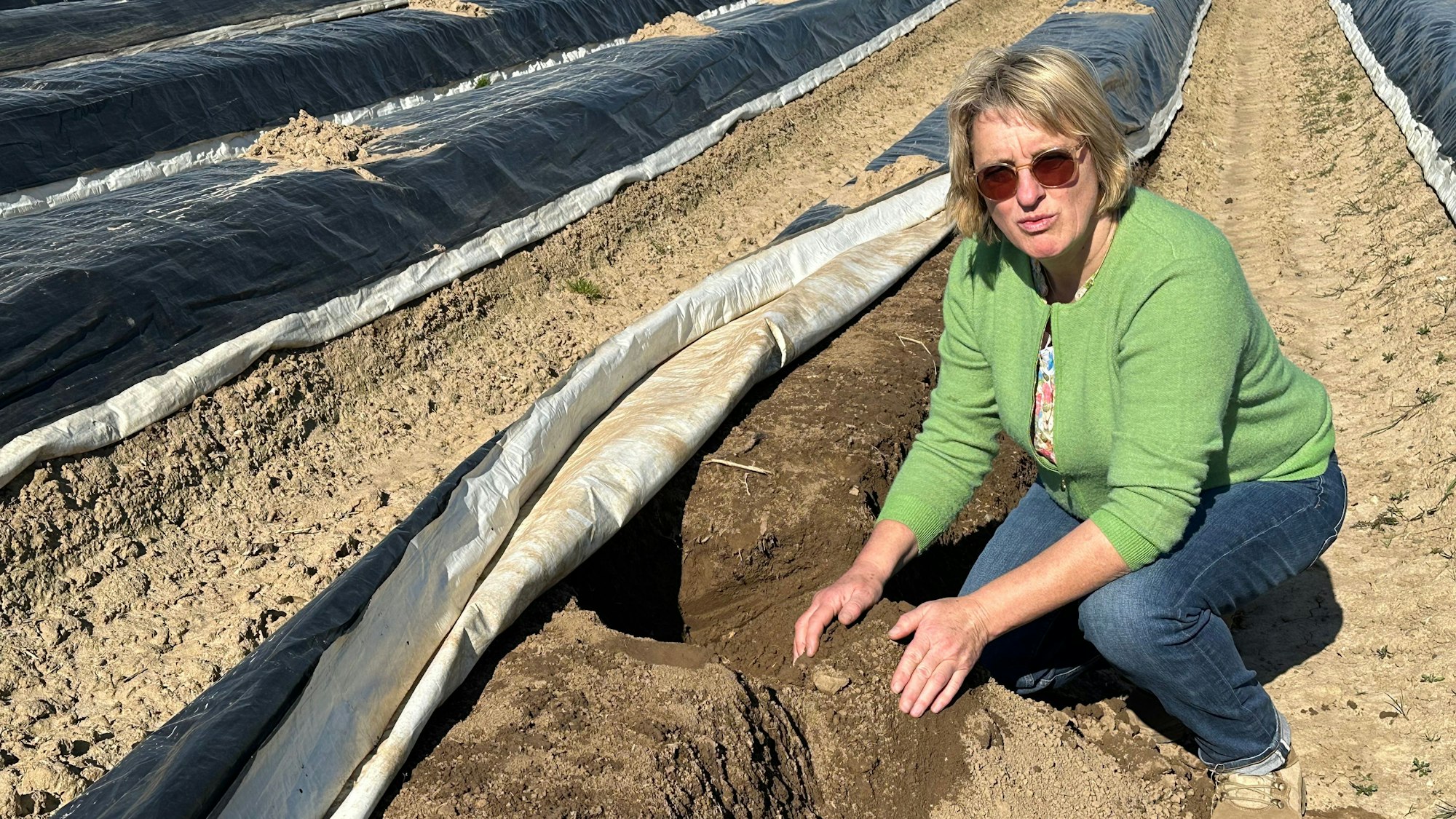 Noch nichts in Sicht - Magret Fritzen an einem mit schwarzer Folie abgedeckten Spargelwall auf dem Feld der Familie in Eschmar.
