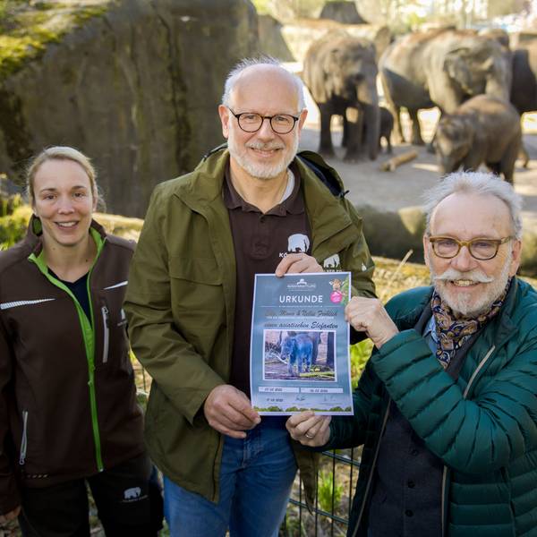 20.03.2025, Köln: v.l.n.r: Tierärztin Sandra Marcordis, Zoodirektor Theo Pagel und Janus Fröhlich (Höhner ) , der Pate wird des neugeborenenen Elefantenbullen im Kölner Zoo.Foto:Dirk Borm