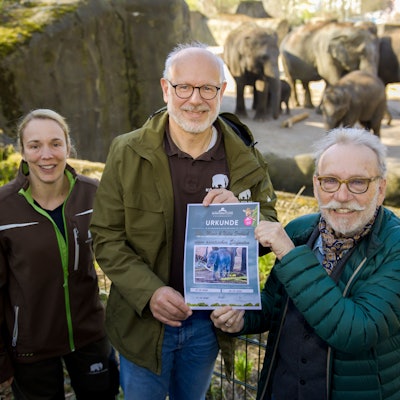 20.03.2025, Köln: v.l.n.r: Tierärztin Sandra Marcordis, Zoodirektor Theo Pagel und Janus Fröhlich (Höhner ) , der Pate  wird des neugeborenenen Elefantenbullen im Kölner Zoo.Foto:Dirk Borm