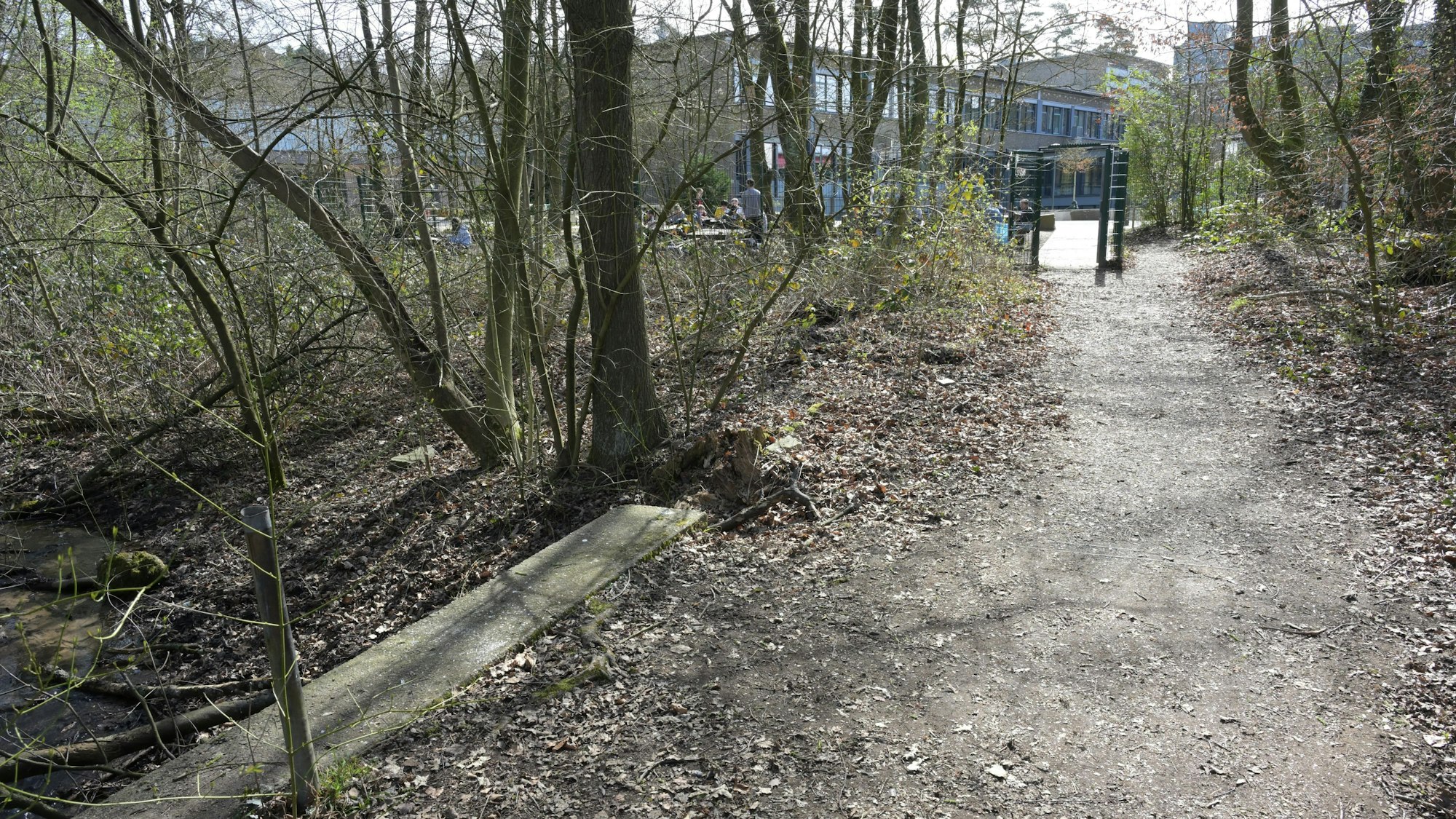 Ein Weg durch ein Wäldchen führt auf ein Gittertor zu, dahinter ein modernes Schulgebäude