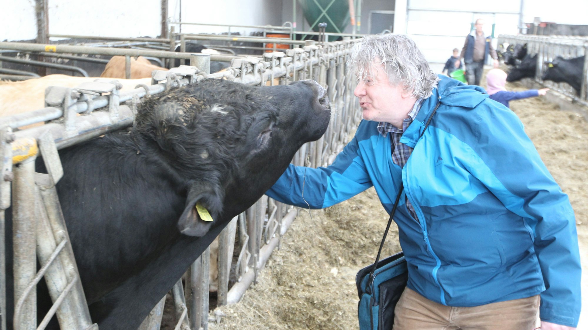 Ein schaut einer Kuh im Stall in die Augen, die Köpfe der beiden sind eng beieinander.