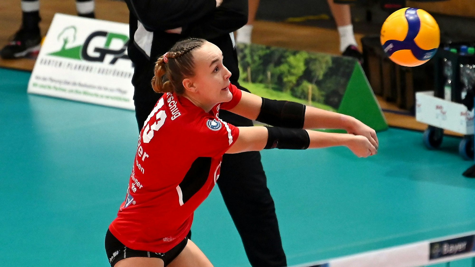 23.11.2024, Volleyball-Bayer leverkusen-VCO Dresden
hinten: TR: Dirk Sauermann (Bayer)
vorne: Viktoria Dörschlug (Bayer)
Foto: Uli Herhaus