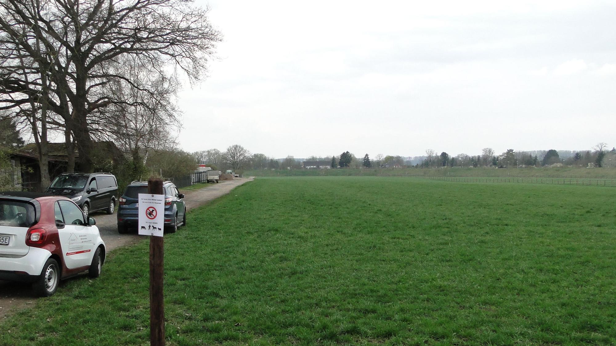 Bislang wird das zu bebauende Areal von einer weitläufigen Wiese eingenommen. (Archivbild)