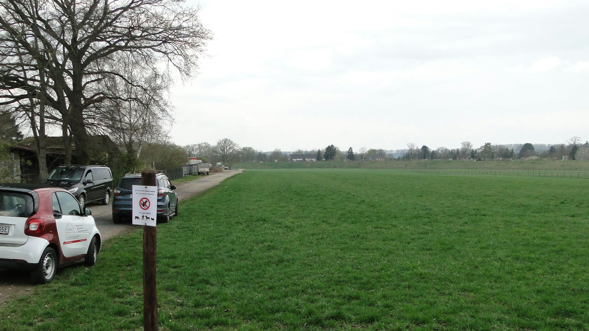 Bislang wird das zu bebauende Areal von einer weitläufigen Wiese eingenommen. (Archivbild)