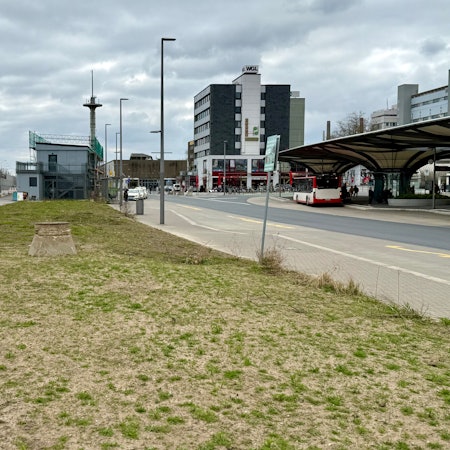 Grün-gelbe Wiese am Busbahnhof in Wiesdorf
