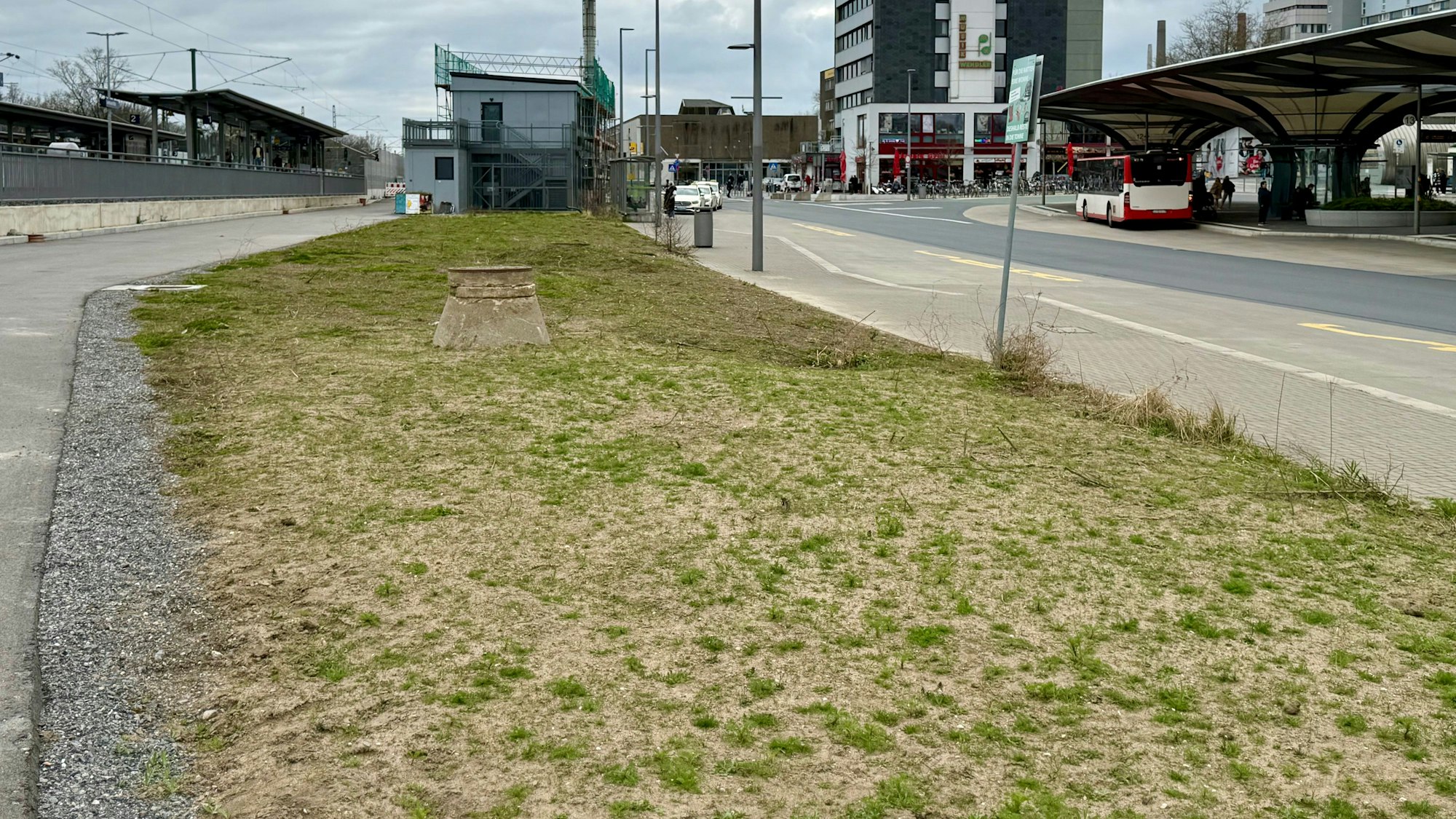 Grün-gelbe Wiese am Busbahnhof in Wiesdorf