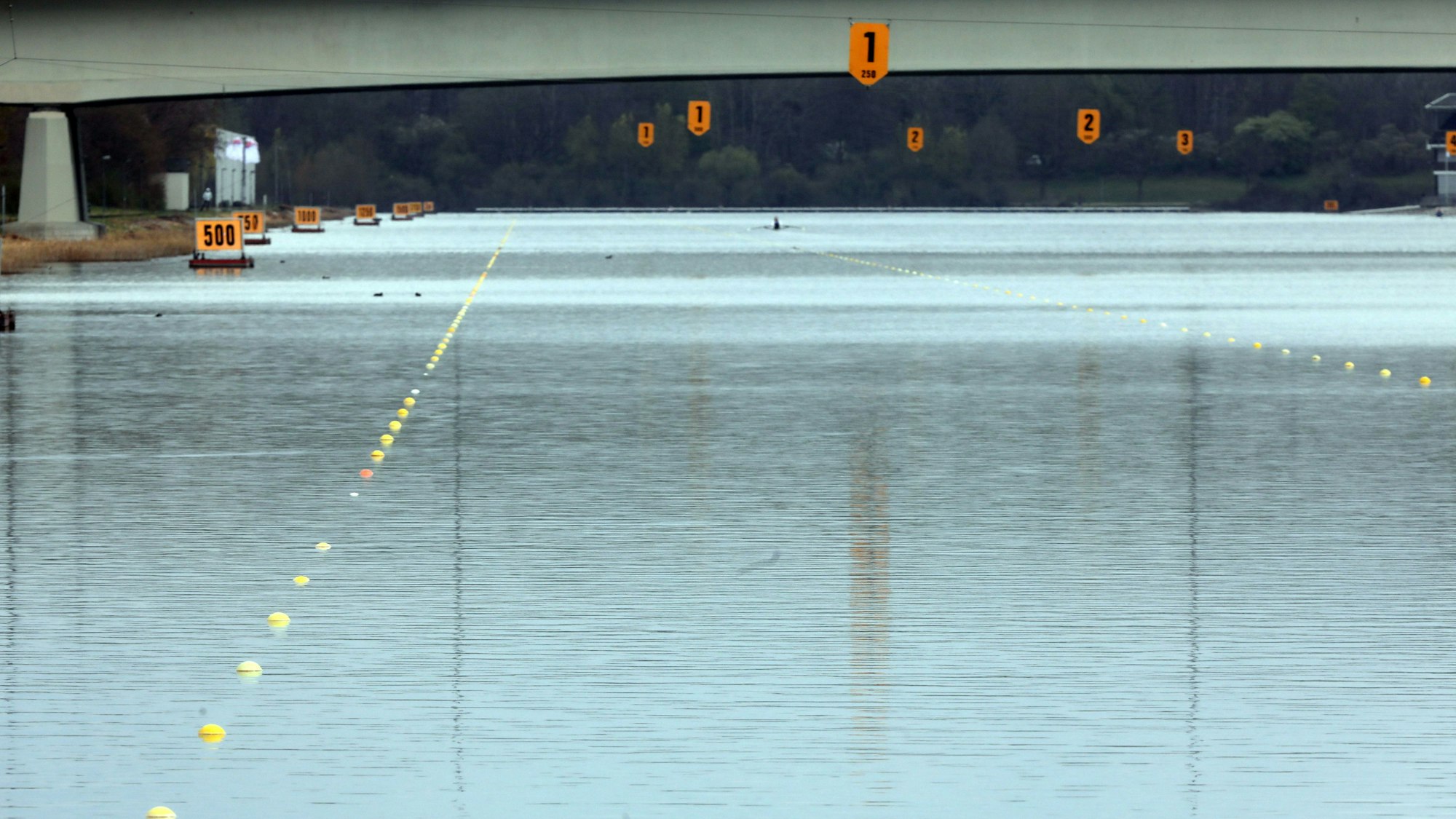 Erste neue Bojenketten auf der Regattabahn am Fühlinger See.